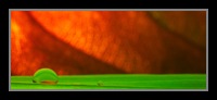 Abstract Photos For Sale 37