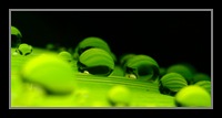 Abstract Photos For Sale 43